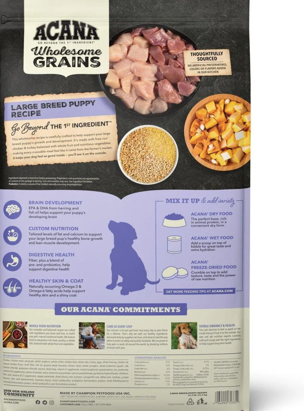 Acana Dry Food^Wholesome Grains Large Breed Puppy Recipe Dry Dog Food, 22.5-lb
