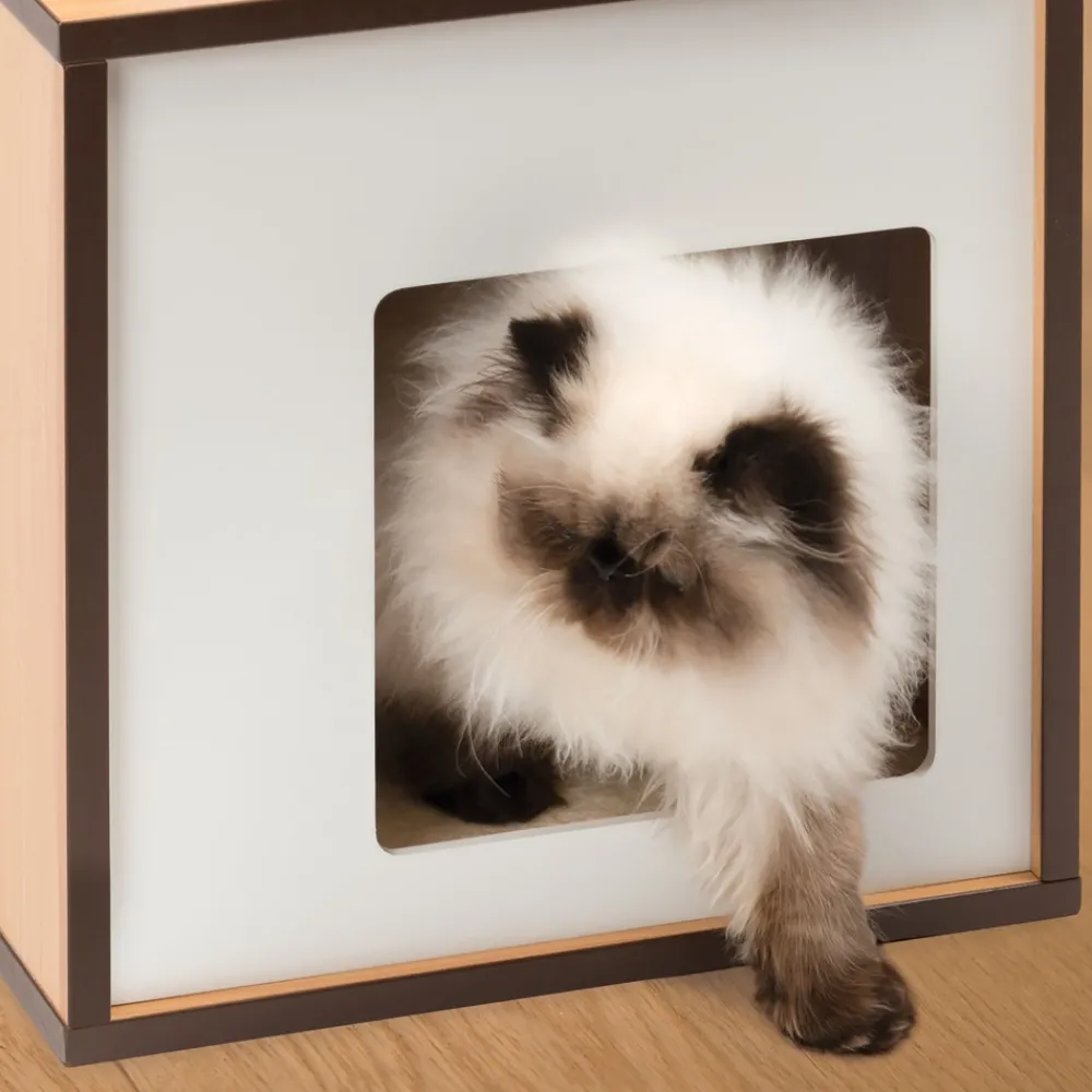 Catit Toys | Toys^Vesper Box Small Cat Tree, Walnut