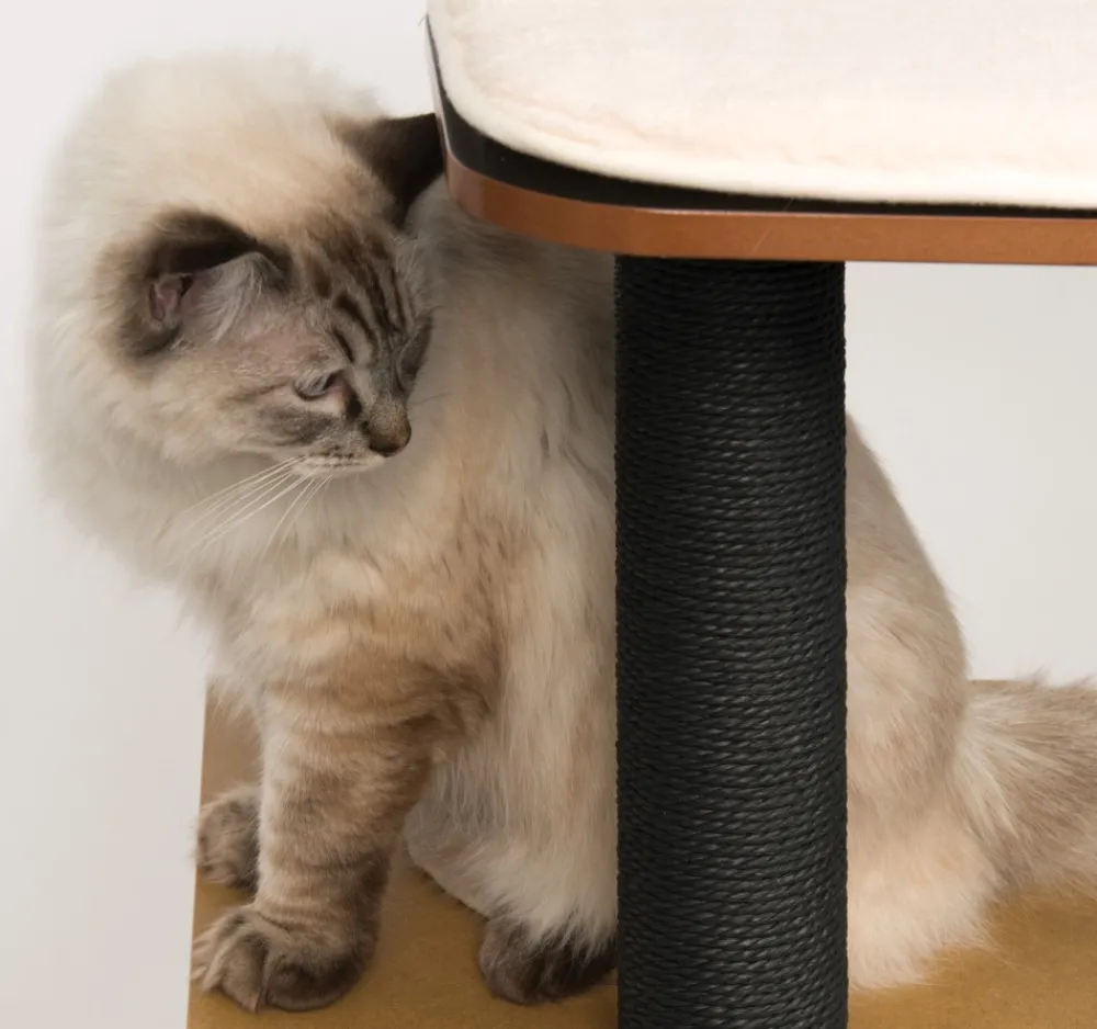 Catit Trees, Condos & Scratchers | Trees, Condos & Scratchers^Vesper Cat Tree, High Base, Black