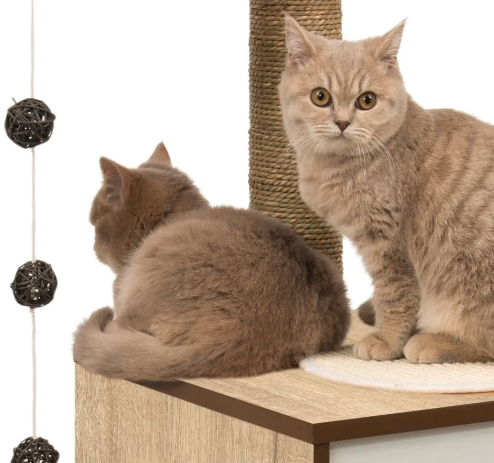 Catit Toys | Toys^Vesper High Base Cat Tree, Oak