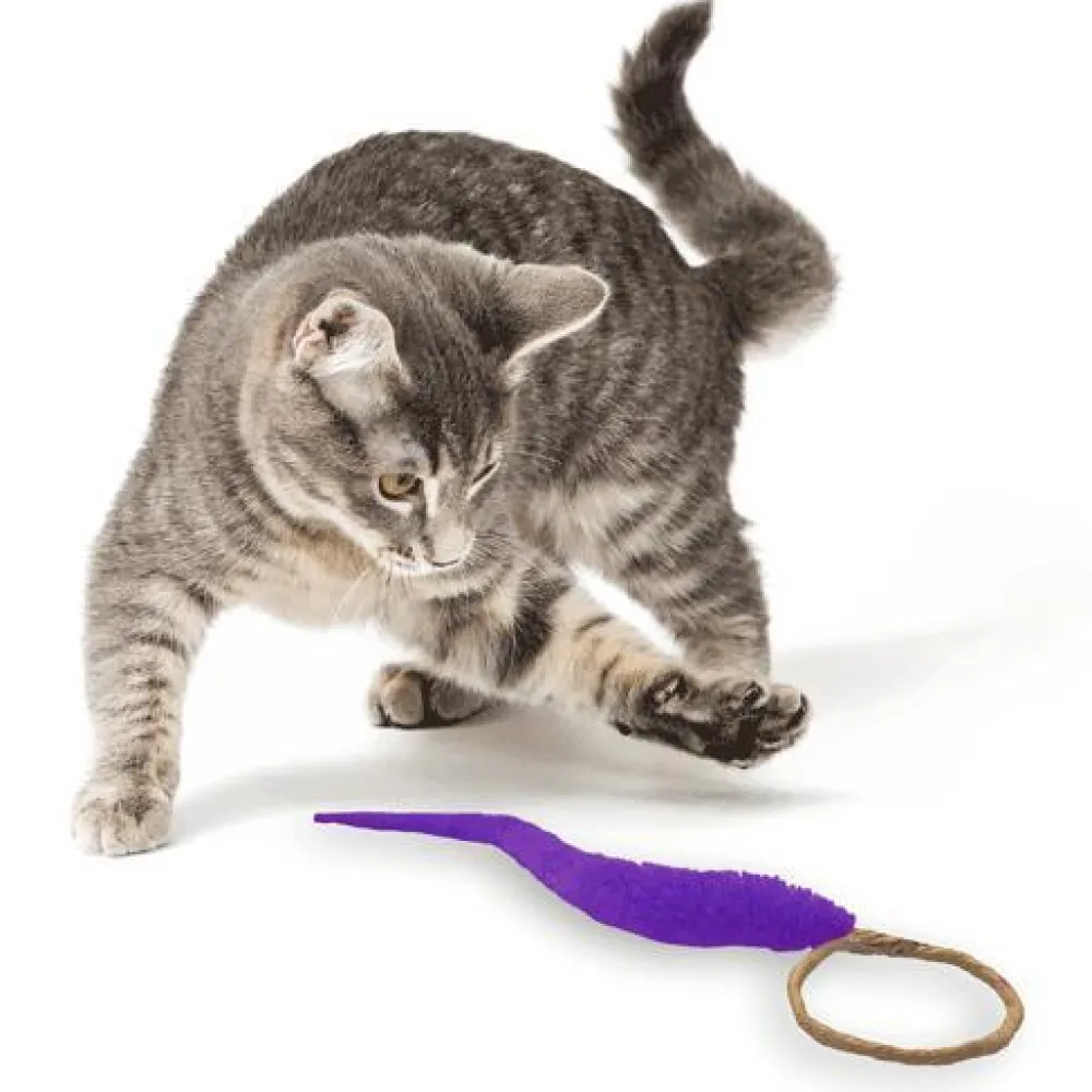 Dezi & Roo Toys | Toys^A-Lure-Ring Cat Toy