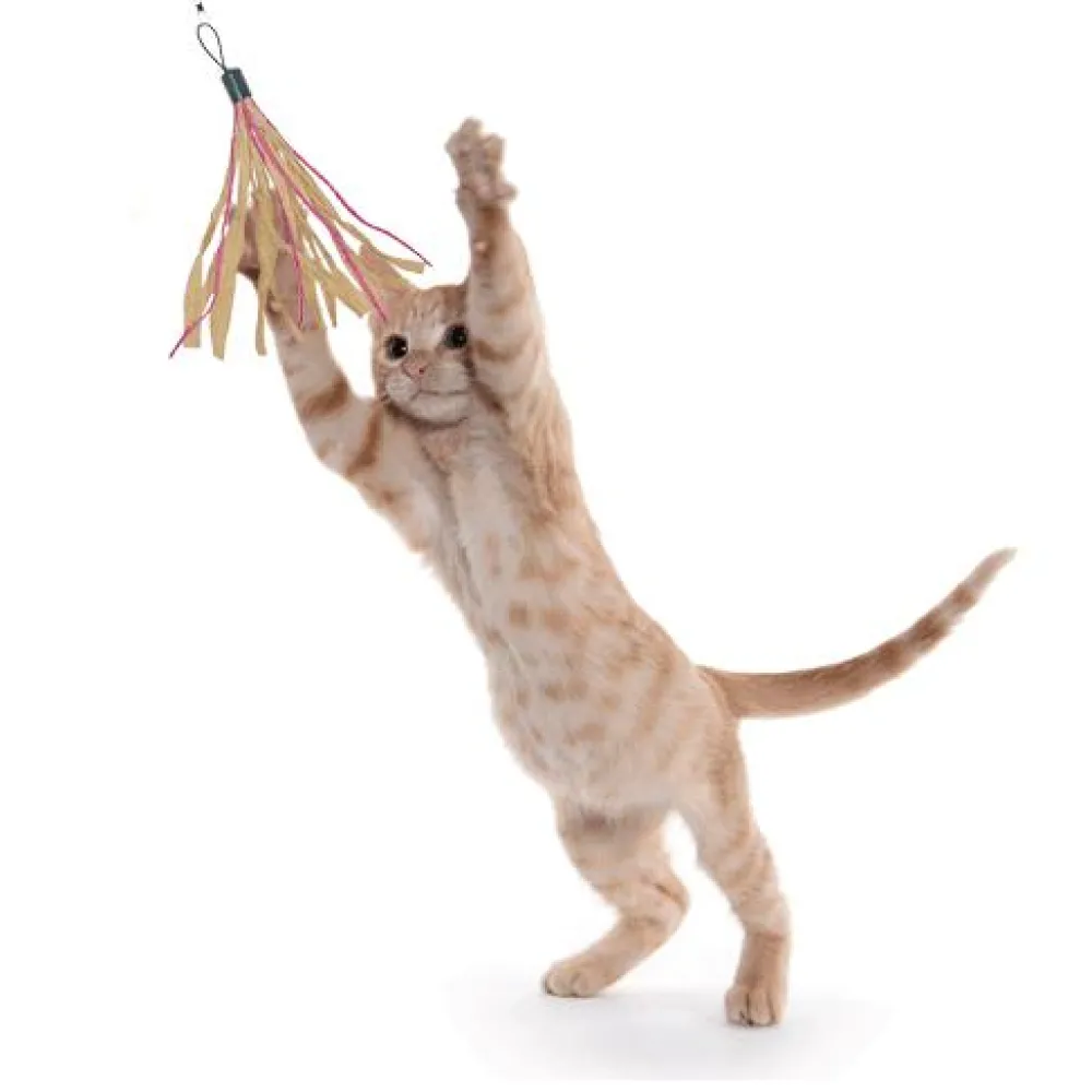 Dezi & Roo Toys | Toys^Cuttlefish Wand Attachment Cat Toy