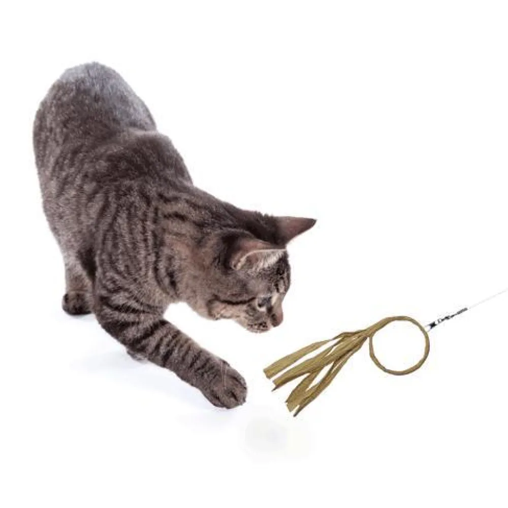 Dezi & Roo Toys | Toys^Flutter-Ring Cat Toy