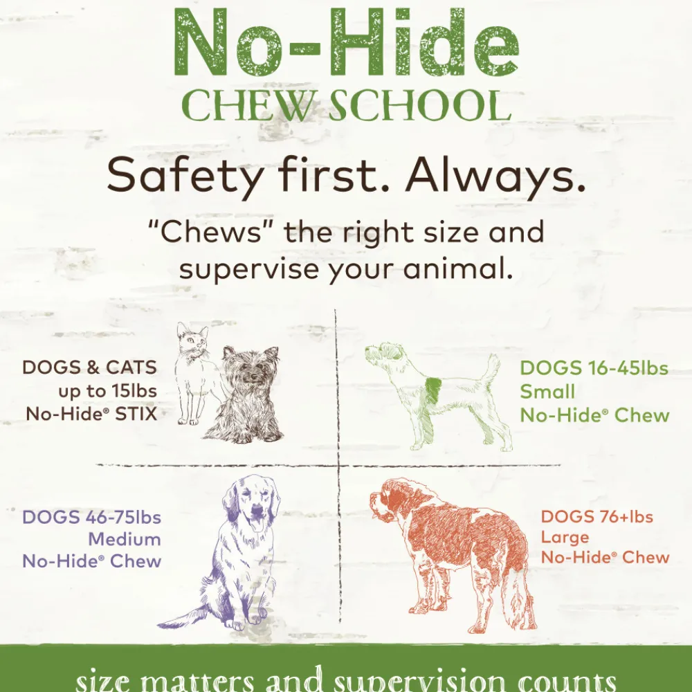 Earth Animal Bully Sticks & Natural Chews^No-Hide Pork Stix Chew Dog Treat, 1-count