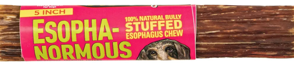 Etta Says! Bully Sticks & Natural Chews^Esopha-Normous Stuffed Bully Stick Dog Treats, 5-in, 1-count