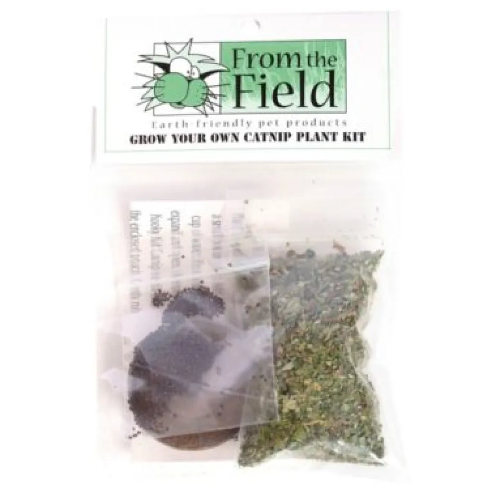 From The Field Catnip & Pet Grass Treats^Grow Your Own Catnip Plant Kit