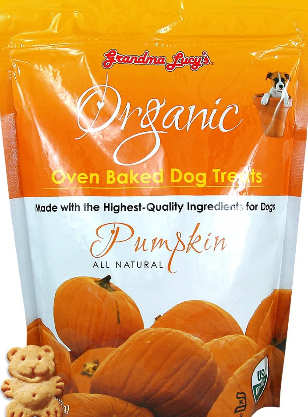 Grandma Lucy's Biscuits & Crunchy Treats^Organic Pumpkin Oven Baked Dog Treats, 14-oz