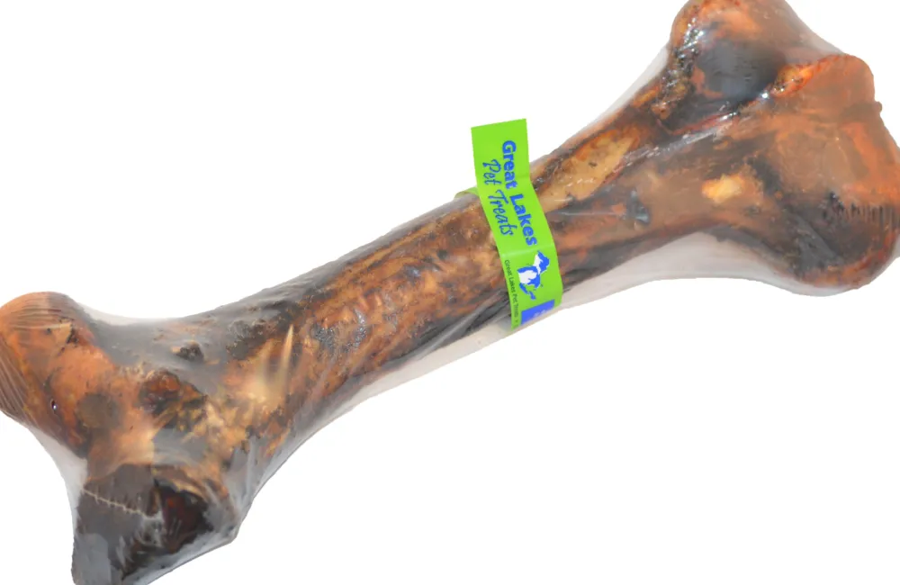 Great Lakes Pet Treats Bully Sticks & Natural Chews^Great Lakes Meaty Dino Femur Bone Dog Treats, 15-18-in