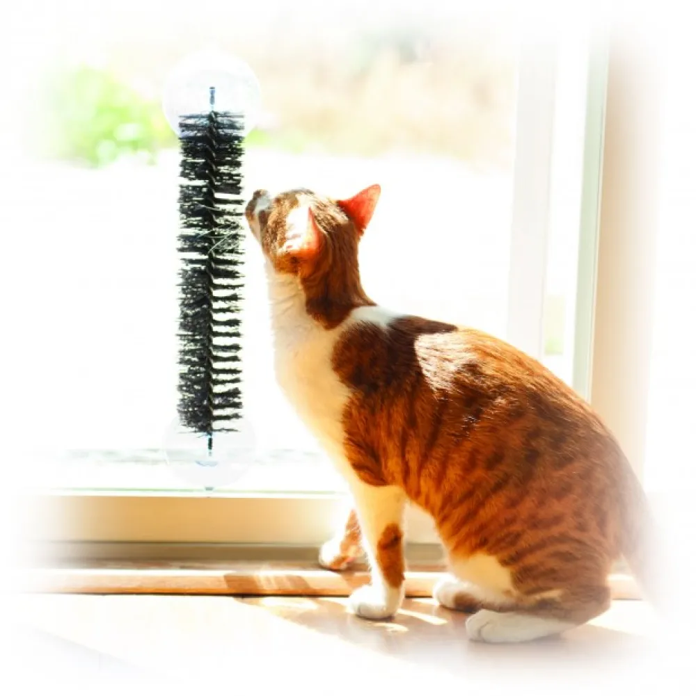 K&H Pet Products Grooming | Grooming^K&H EZ Mount Self-Grooming Cat Brush