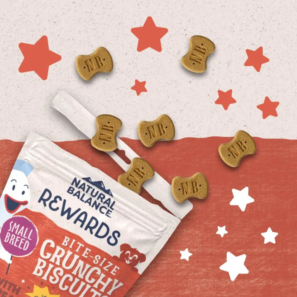 Natural Balance Pet Foods Biscuits & Crunchy Treats^Natural Balance Rewards Crunchy Biscuits Bite-Size with Real Salmon Small Breed Dog Treats, 8-oz