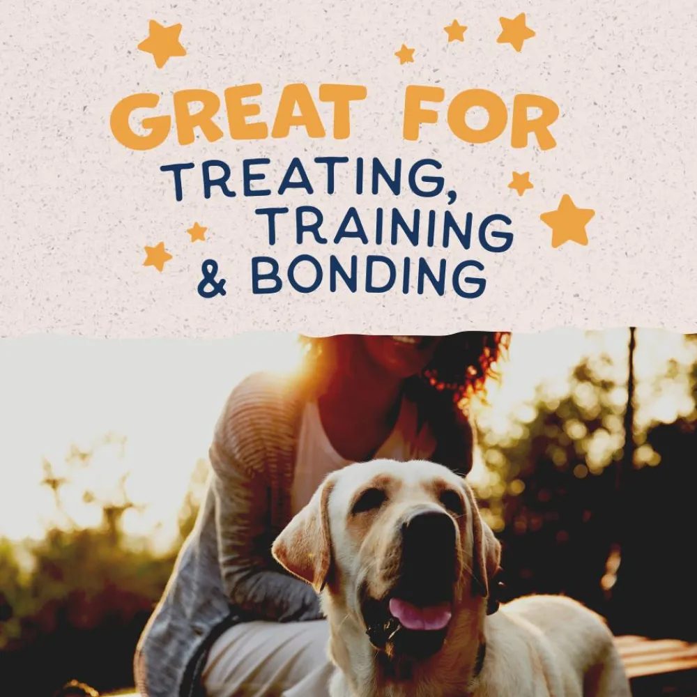 Natural Balance Pet Foods Biscuits & Crunchy Treats^Natural Balance Rewards Crunchy Biscuits with Real Duck Dog Treats, 14-oz