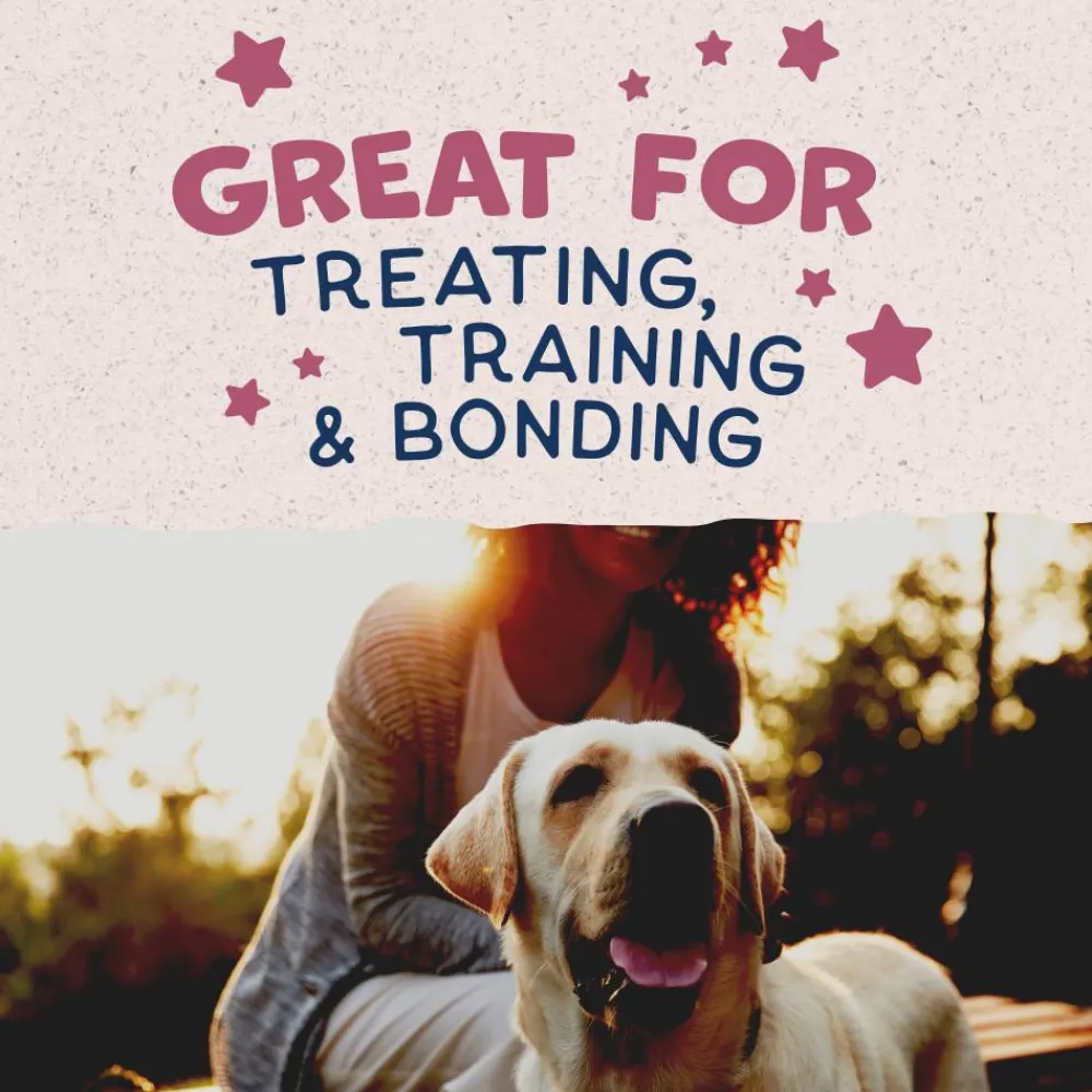 Natural Balance Pet Foods Biscuits & Crunchy Treats^Natural Balance Rewards Crunchy Biscuits with Real Venison Dog Treats, 14-oz