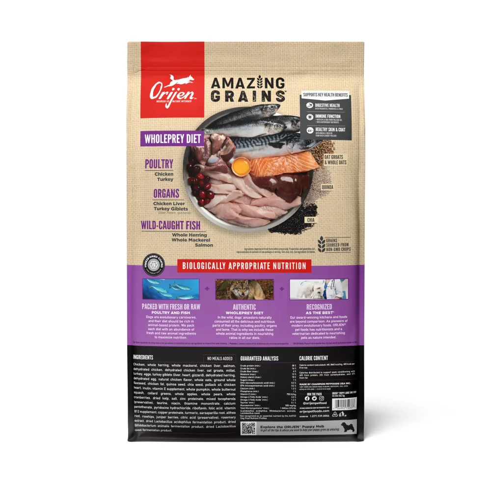 Orijen Dry Food^Amazing Grains Puppy Large Breed Dry Dog Food, 22.5-lb