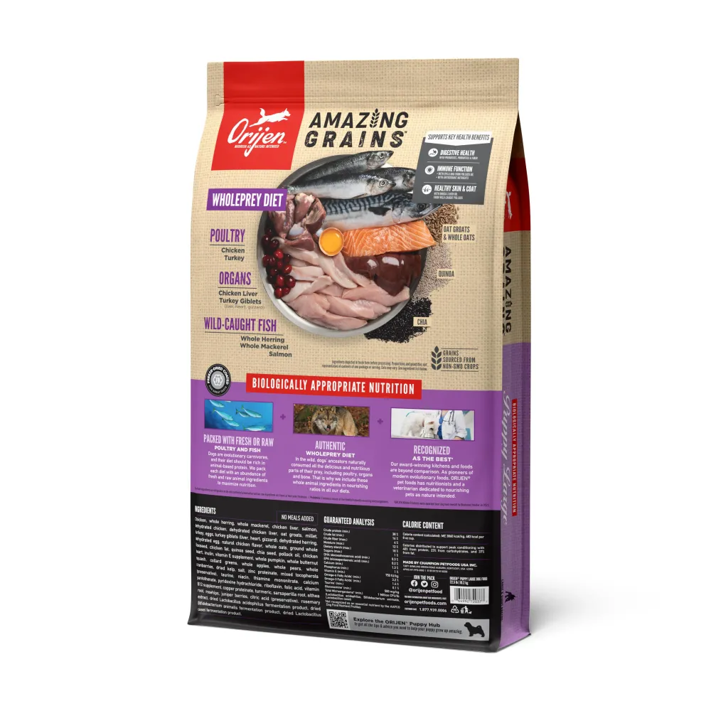 Orijen Dry Food^Amazing Grains Puppy Large Breed Dry Dog Food, 22.5-lb