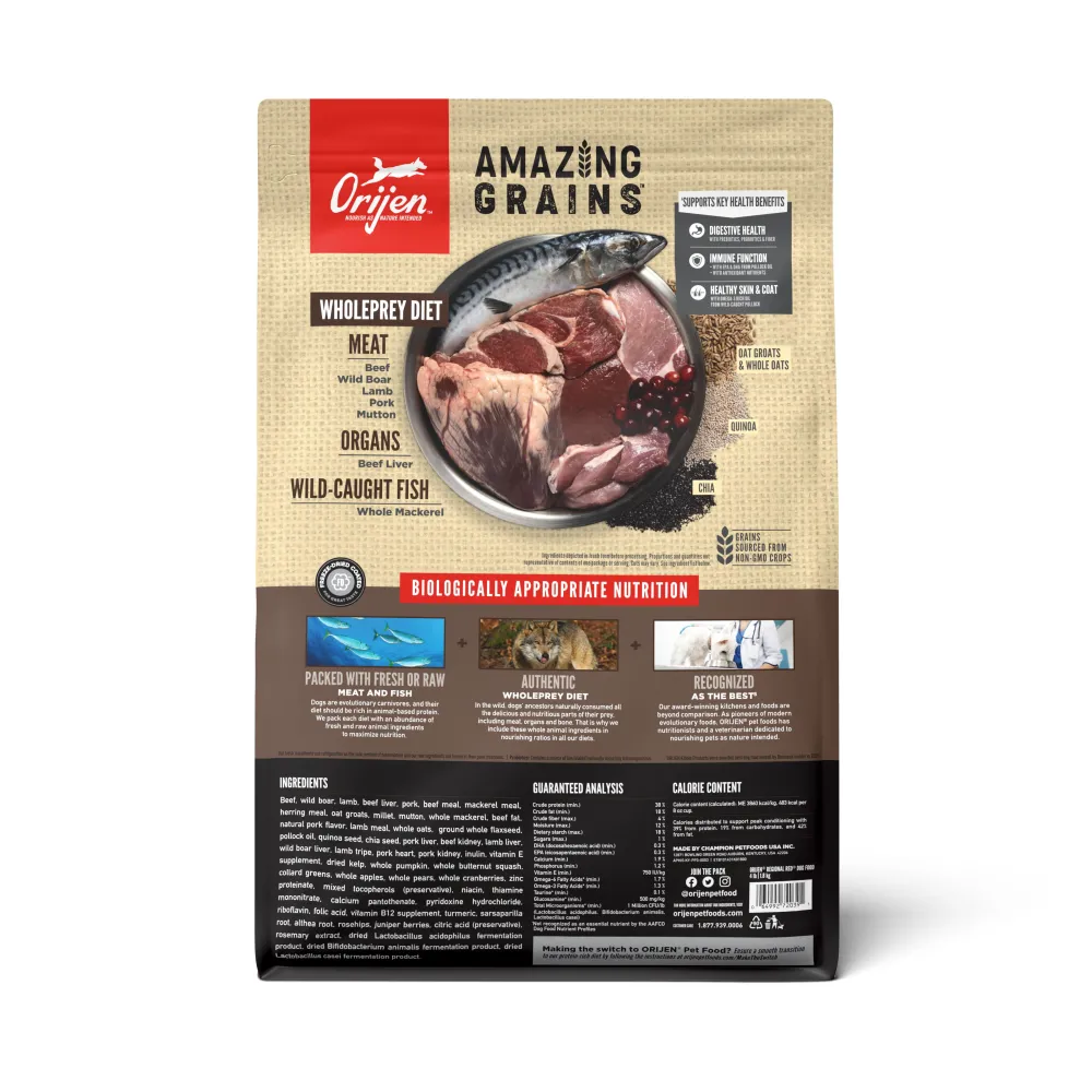 Orijen Dry Food^Amazing Grains Regional Red Dry Dog Food, 4-lb