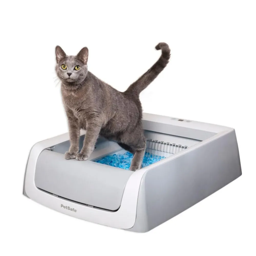 Petsafe Litter & Accessories | Litter & Accessories^ScoopFree Original Automatic Self-Cleaning Cat Litter Box, Grey