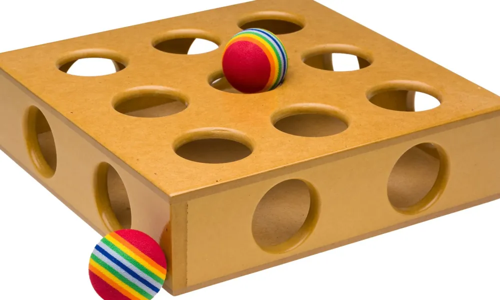 Pioneer Pet Toys | Toys^SmartCat Peek & Play Toy Box