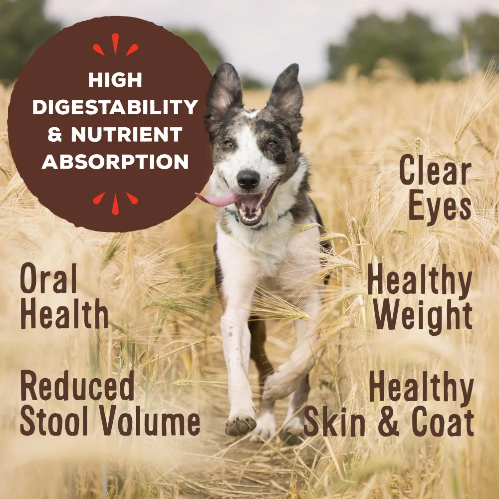 Primal Pet Foods Frozen Food^Primal Raw Frozen Nuggets Duck Formula Dog Food, 3-lb