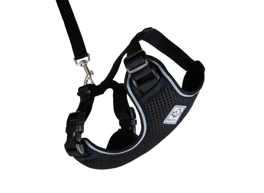 Rc Pets Leashes & Collars | Leashes & Collars^Adventure Kitty Cat Harness, Black, Small