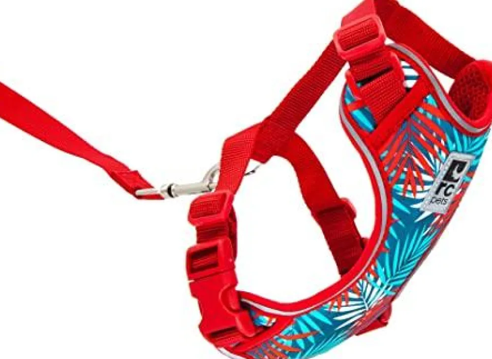 Rc Pets Leashes & Collars | Leashes & Collars^Adventure Kitty Cat Harness, Maldives, Large