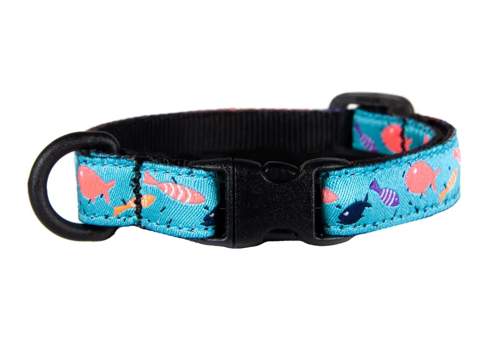 Rc Pets Leashes & Collars | Leashes & Collars^Kitty Breakaway Cat Collar, Shoal, 8-10-in