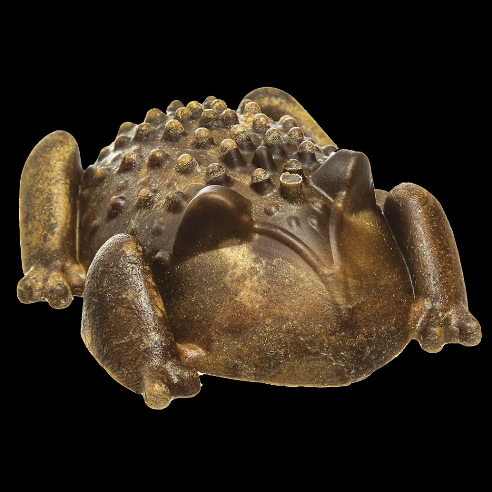 Redbarn Pet Products Dental & Hard Chews^Redbarn Chew-A-Bulls Horned Toad Dog Treats, Large