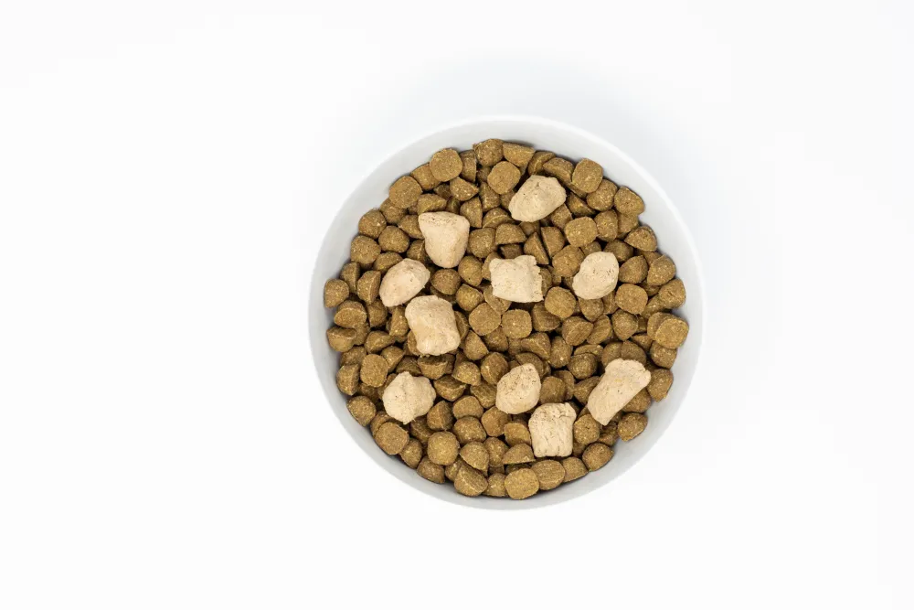 Stella & Chewy's Dry Food^Raw Blend Wholesome Grains Cage-Free Recipe with Pumpkin & Quinoa Dry Dog Food, 22-lb