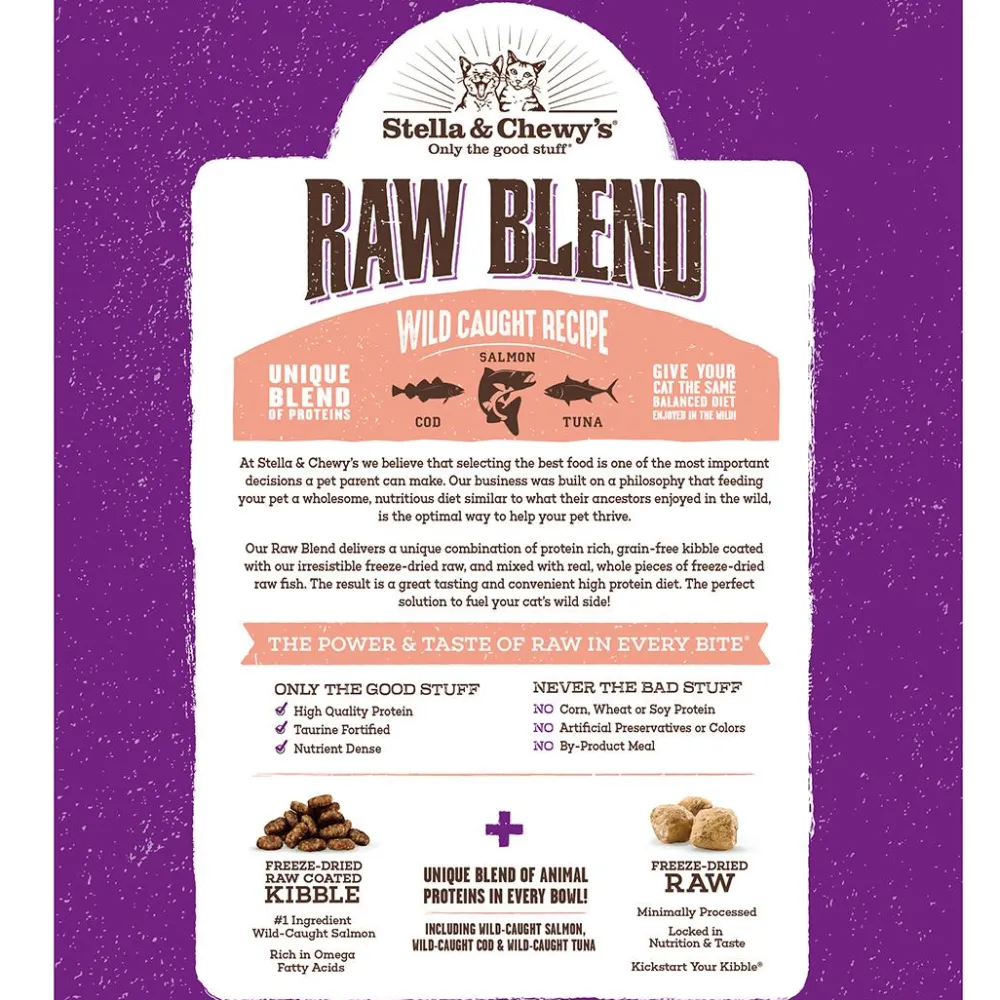 Stella & Chewy's Dry Food^Raw Blend Wild Caught Salmon Dry Cat Food, 2.5-lb