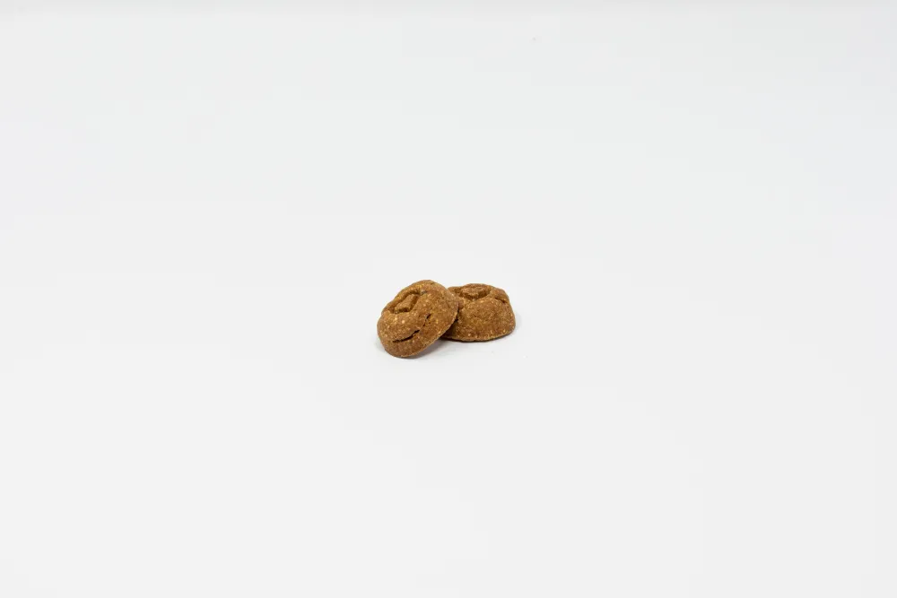 Stella & Chewy's Biscuits & Crunchy Treats^Raw Coated Biscuits Grass-Fed Lamb Recipe Dog Treats, 9-oz