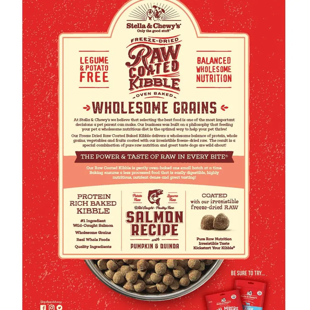 Stella & Chewy's Dry Food^Raw Coated Kibble Wholesome Grains Salmon, Pumpkin & Quinoa Dry Dog Food, 22-lb