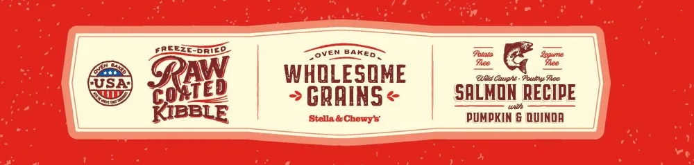 Stella & Chewy's Dry Food^Raw Coated Kibble Wholesome Grains Salmon, Pumpkin & Quinoa Dry Dog Food, 22-lb