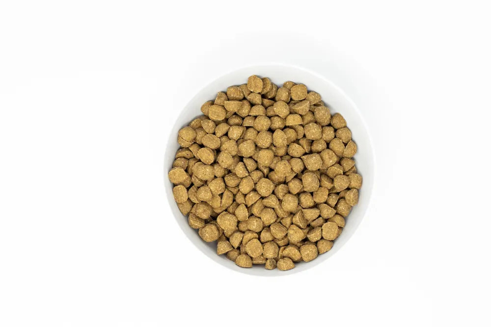Stella & Chewy's Dry Food^Raw Coated Kibble Wholesome Grains Salmon, Pumpkin & Quinoa Dry Dog Food, 22-lb