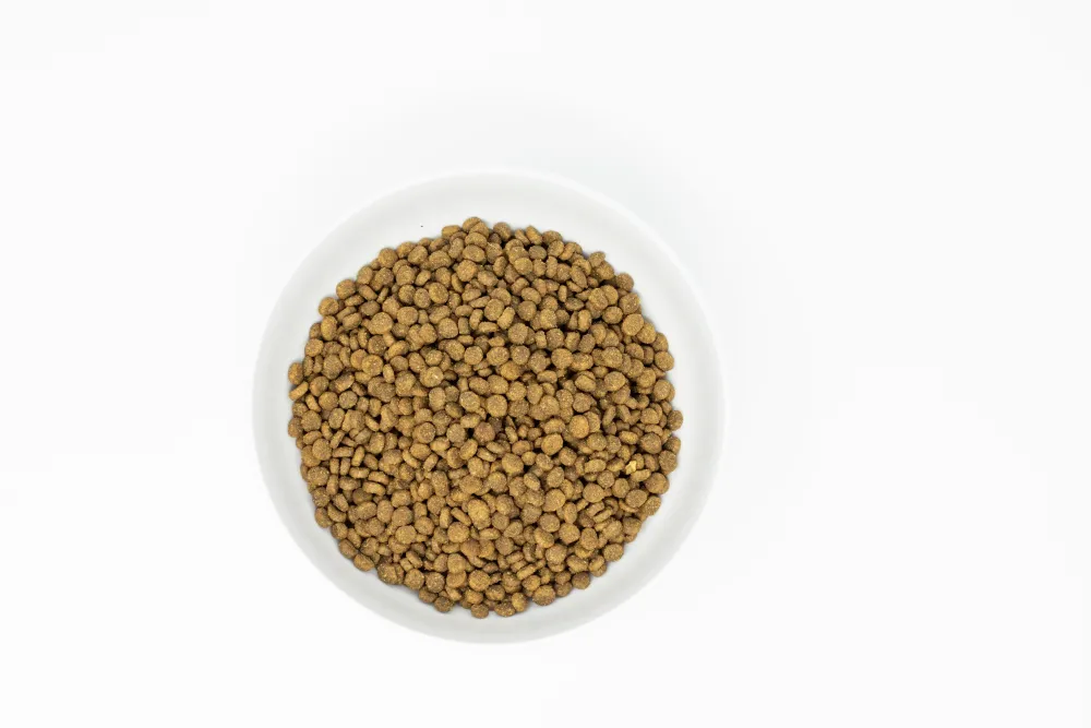 Stella & Chewy's Dry Food^Raw Coated Kibble Wild Caught Salmon Recipe Grain-Free Dry Cat Food, 2.5-lb