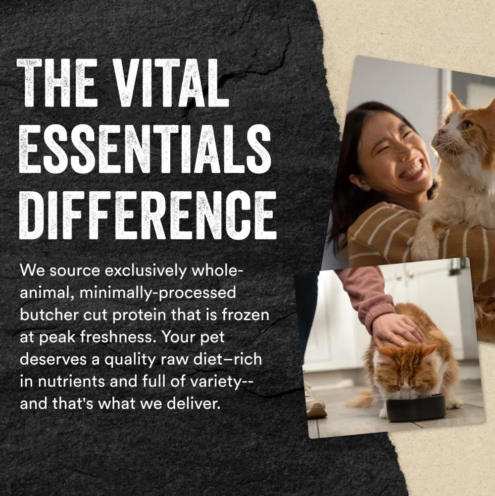 Vital Essentials Freeze-Dried Food^Chicken Entree Mini Nibs Freeze-Dried Raw Cat Food, 8-oz