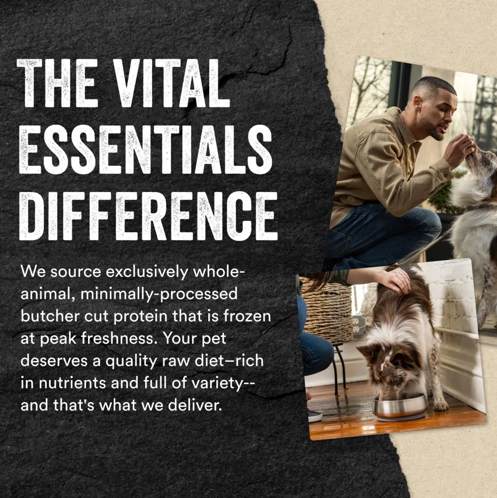 Vital Essentials Food Toppings^Duck Protein Mix-In Mini Nibs Freeze-Dried Raw Dog Food Topper, 6-oz