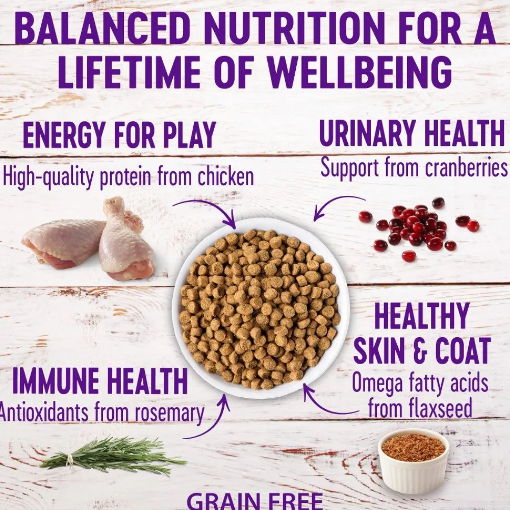 Wellness Dry Food^Complete Health Grain-Free Adult Chicken Dry Cat Food, 5.5-lb