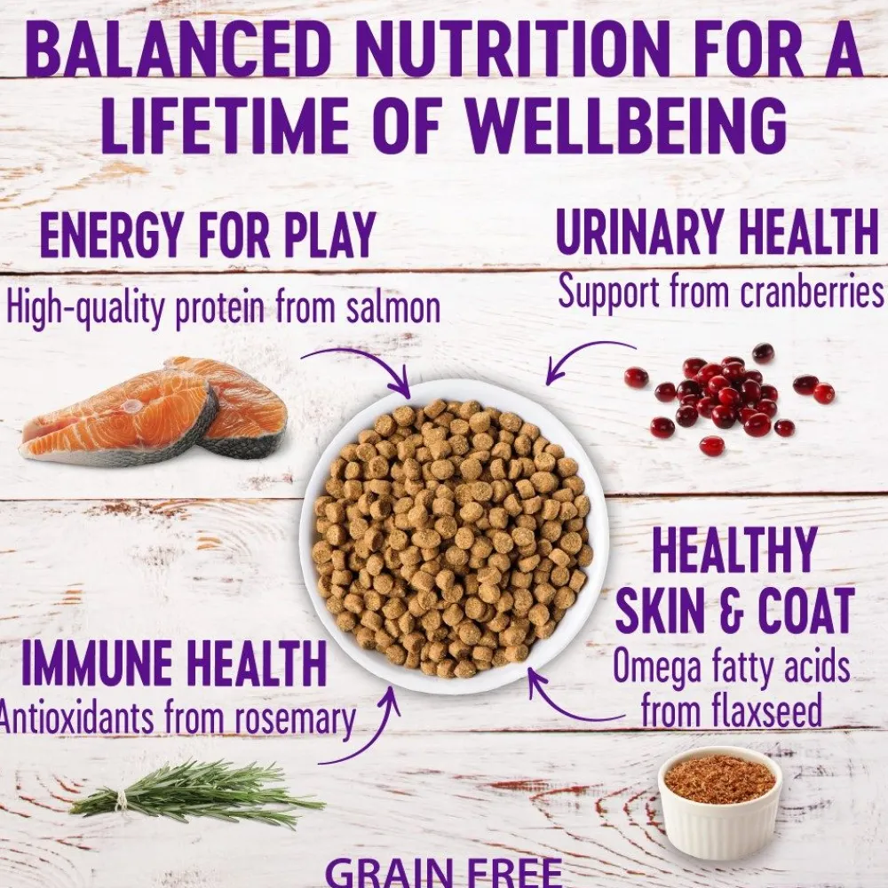 Wellness Dry Food^Complete Health Grain-Free Indoor Healthy Weight Chicken & Turkey Dry Cat Food, 5.5-lb