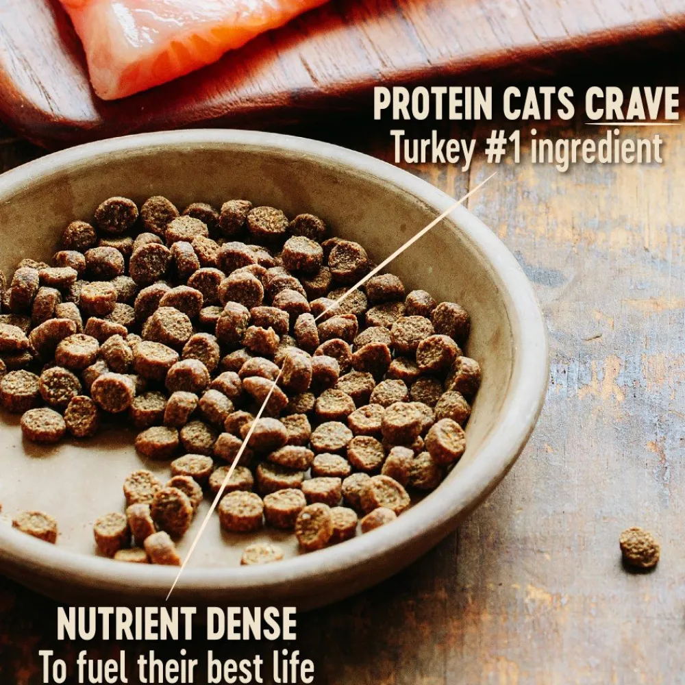 Wellness Dry Food^CORE Grain-Free Kitten Formula Dry Cat Food, 5-lb